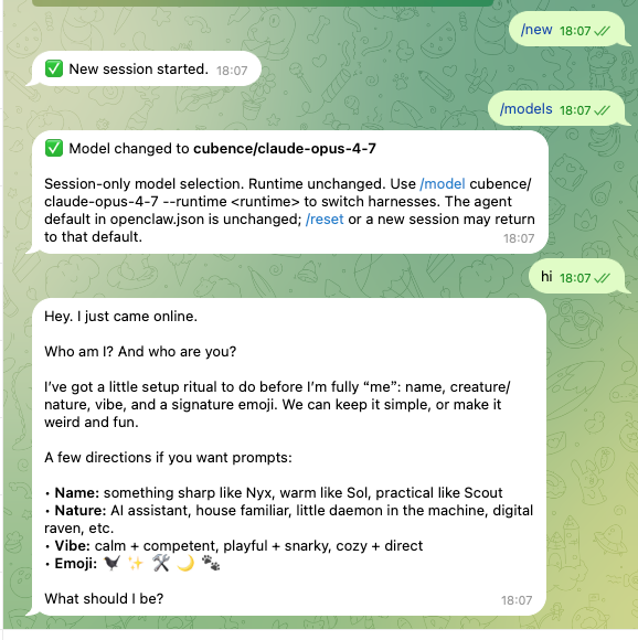 Telegram chat